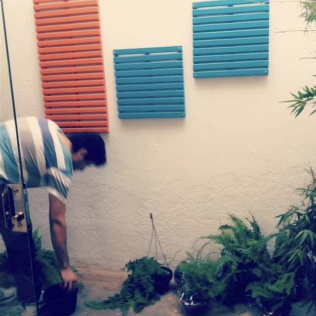 Para @tatiazzi nosso jardim vertical nascendo e advinha quem é o mestre da jardinagem!